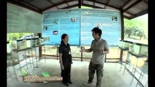 ตอนที่ 1 ศูนย์การเรียนรู้ นพค.11ฯ.flv