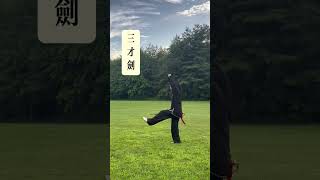 #chinamartialarts 三才剑 演练者：欧阳家茜 San Cai Sword  practicer： Angela Ouyang