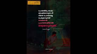 നീ എൻറെ ഉറക്കം കെടുത്തുന്നു, നീ എൻറെ സ്വപ്നങ്ങളിൽ വന്ന് എന്നെ വേട്ടയാടുന്നു.😔💔💔