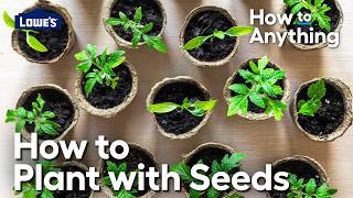 How to Plant with Seeds | How To Anything