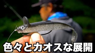 【バス釣り】デプス「フリルドシャッド/FRILLED SHAD」を小森嗣彦プロの後ろで投げたら色々とカオスな展開に