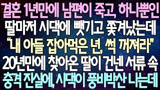 (반전 사연) 결혼 1년만에 남편이 죽고, 하나뿐인 딸마저 시댁에 뺏기고 쫓겨났는데 20년만에 찾아온 딸이 건넨 서류 속 충격 진실에, 시댁이 풍비박산 나는데 /사이디사연