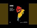 Ngithanda (Continuous Mix) (Ryan Murgatroyd’s Midnight Edit)