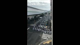 泉大津助松だんじり2018