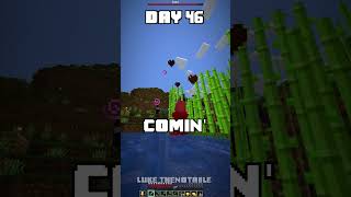 100 Days - [Minecraft Shorts] - Day 46 and 47 #minecraft #100days