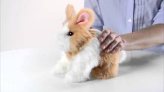 FurReal Friends Hop 'n Cuddle Bunnies Rabbit Toy - Suitable for Ages 4 Years and Up - Colours Vary