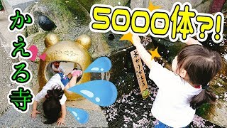 【感動】かえるが5000体？噂の「かえる寺」に行ってきたら、想像以上に楽しすぎた…!!今年の願いを書いてきました！