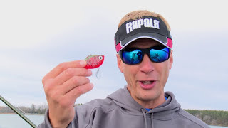 Rattle Baits Are Way Too Good to Ignore in Spring