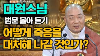 어떻게 죽음을 대처해 나갈 것인가? [대원스님 법문 몰아보기]