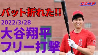 【大リーグ現地速報28日】打撃練習でバット折れた！エンゼルス大谷 フリー打撃・試合開始前アップ・スタメン発表