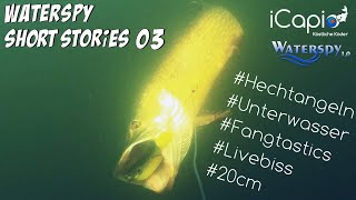 Waterspy Underwater Stories 03  I  Hecht Livebiss auf 20cm Fangtastics