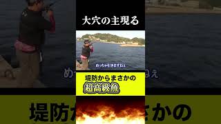 衝撃！下の穴からとんでもない主が釣れた#Shorts