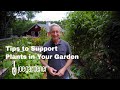 Simple Options for Supporting Your Garden Plants