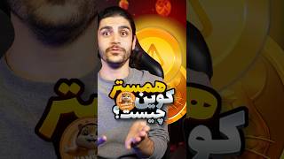 همستر چیه؟ ارزش داره؟ سود شرکت کجاست؟ چه جوری کار میکنه؟