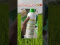 nano urea fertilizer tamil நானோ யூரியா how to use nano urea nanourea vivasaayam agriculture