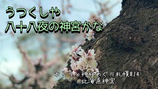 ゆるりと神社めぐり札幌#14【北海道神宮】