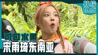 [Chinese SUB] Fruit lover, Song Yuqi's Tropical Fruit MUKBANG Eating Show | Law of the Jungle