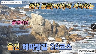 [TGKT-23] 겨울들어 더 푸르른 동해바다에 다양한 동물바위가 있는 해파랑길 26코스