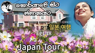 Japan Tour 🌸 Hello❤Korea -  කොරියාවේ සිට ජපානයට