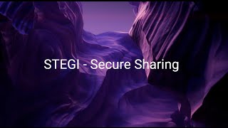 Stegi - Secure Data Sharing. Initial Demo