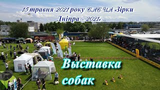 Выставка собак всех пород. Днепр 2021 / клуб \