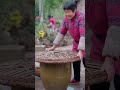 乡土人家 my mother in law spent a week teaching everyone how to make lotus root noodles by themselves.