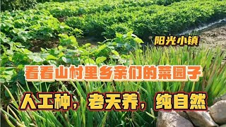 看看山村里乡亲们的菜园子，人工种，老天养，纯自然