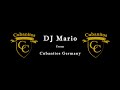 DJ Mario pres. The Best Floorfillers Mix from 1977 to 2017