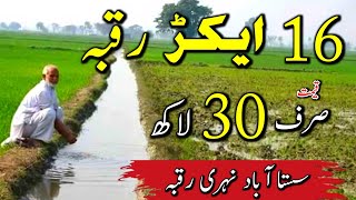 16 Acer Land for sale in punjab Pakistan | Raqba for sale | Zameen for sale | Ep 68