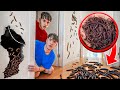 We Found WORMS In Our House!