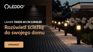 Lampa ogrodowa słupek zewnętrzny stojący TAXUS 60cm marki LUMILED