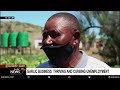 northern cape farmer amos reed s garlic business booming