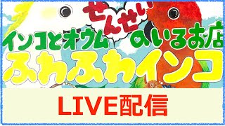 今年初ライブ配信です！明けまして、おめでとうございます！　ふわふわインコ