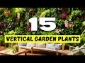 15 Best Plants for a Vertical Garden: Lush and Space Saving Choices for Your Home?