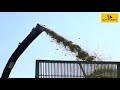 cattlekit silage factory success story by a progressive farmer ghulam akbar daras in sindh pakistan