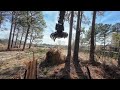 full hour pushing over big trees with the excavator @ the compound cab view