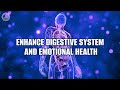 Sound Waves Of Healing | Balance The Gut-Brain Axis | Enhance Digestive System And Emotional Health