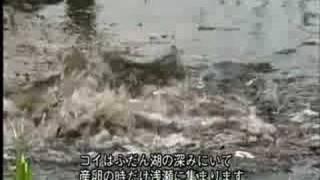 Satoyama (narrated by David Attenborough) 1/6