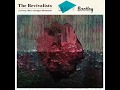 The Revivalists - I Wish I Knew You (Livin R Bootleg)