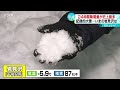 【中継】記録的な大雪　除雪追いつかず雪山も　交通もストップ　北海道岩見沢市