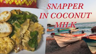 RED SNAPPER IN COCONUT MILK BY CHEF