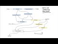 rasa algorithm whiteboard வரைபடங்கள் பின்தளமாக