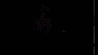 2D Flocking Demo