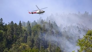 Waldbrand am Thumsee