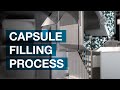 Capsule Filling Process – Operating principle. – KEYZO Film and Animation