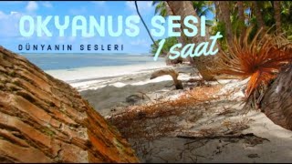 Dinlendirici Okyanus Sahil Sesi - Ocean Waves Sound