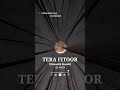 Tera Fitoor [Slowed + Reverb] || Arijit Singh | #shorts #short #viralshorts