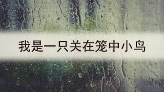 选本诗歌 第540首 我是一只关在笼中小鸟