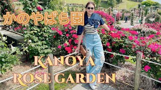 Kanoya Rose Garden (かのやばら園) @BhieLau