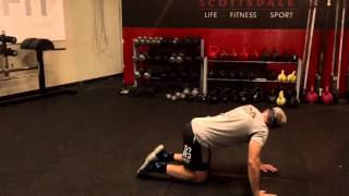 #22 Pushup Challenge Day 22